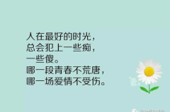 最精辟人生短句,短句中的智慧与启示