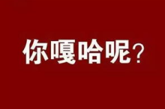 说话的技术打一汉字,基于说话人识别技术的汉字生成系统应用研究