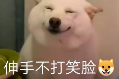 日常沙雕表情包动图,趣味横生的日常社交利器