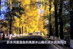 娱乐吃瓜君地址,热门娱乐资讯一手掌握